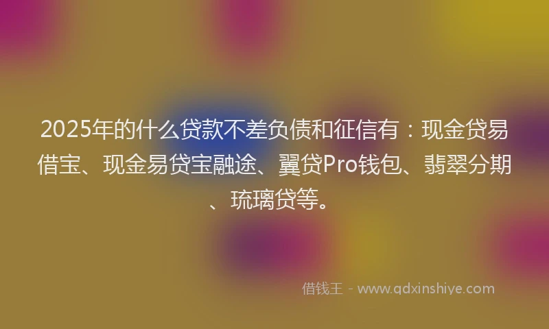 2025年的什么贷款不差负债和征信有：现金贷易借宝、现金易贷宝融途、翼贷Pro钱包、翡翠分期、琉璃贷等。
