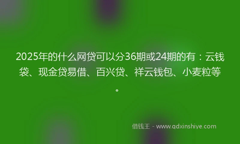 2025年的什么网贷可以分36期或24期的有:云钱袋、现金贷易借、百兴贷、祥云钱包、小麦粒等。