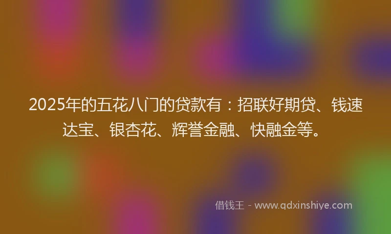 2025年的五花八门的贷款有：招联好期贷、钱速达宝、银杏花、辉誉金融、快融金等。