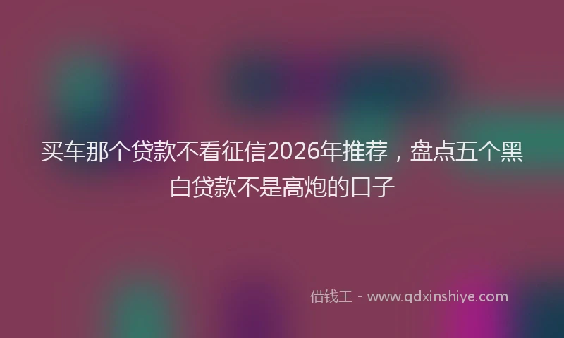 买车那个贷款不看征信2026年推荐，盘点五个黑白贷款不是高炮的口子