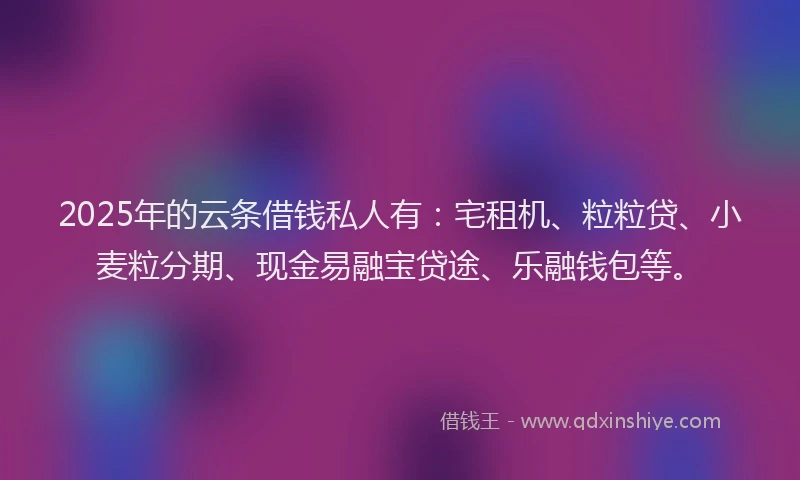 2025年的云条借钱私人有：宅租机、粒粒贷、小麦粒分期、现金易融宝贷途、乐融钱包等。