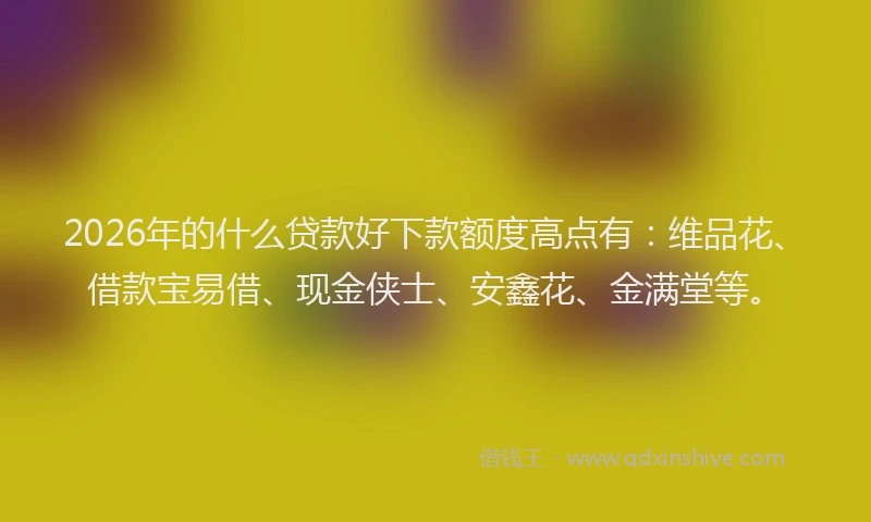 2026年的什么贷款好下款额度高点有：维品花、借款宝易借、现金侠士、安鑫花、金满堂等。