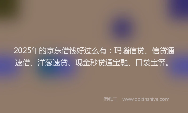2025年的京东借钱好过么有：玛瑙信贷、信贷通速借、洋葱速贷、现金秒贷通宝融、口袋宝等。