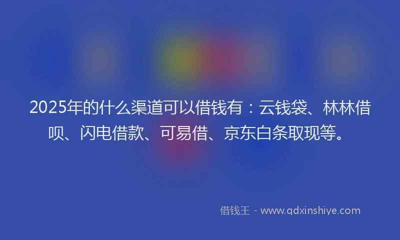 2025年的什么渠道可以借钱有：云钱袋、林林借呗、闪电借款、可易借、京东白条取现等。