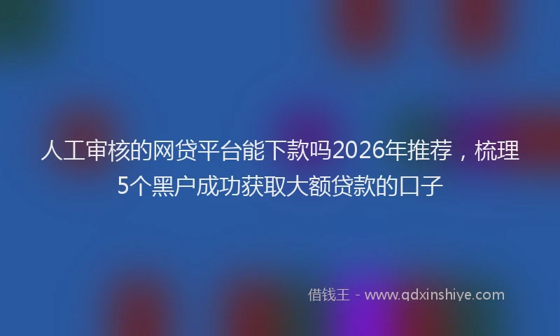 人工审核的网贷平台能下款吗2026年推荐，梳理5个黑户成功获取大额贷款的口子