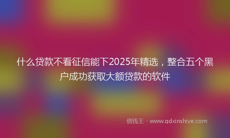 什么贷款不看征信能下2025年精选，整合五个黑户成功获取大额贷款的软件