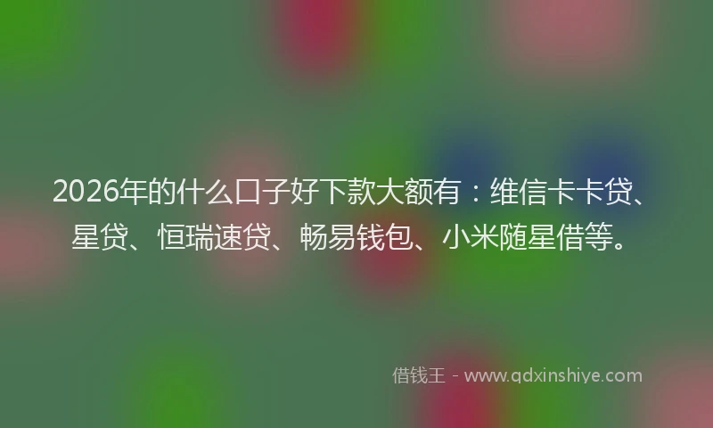 2026年的什么口子好下款大额有：维信卡卡贷、星贷、恒瑞速贷、畅易钱包、小米随星借等。
