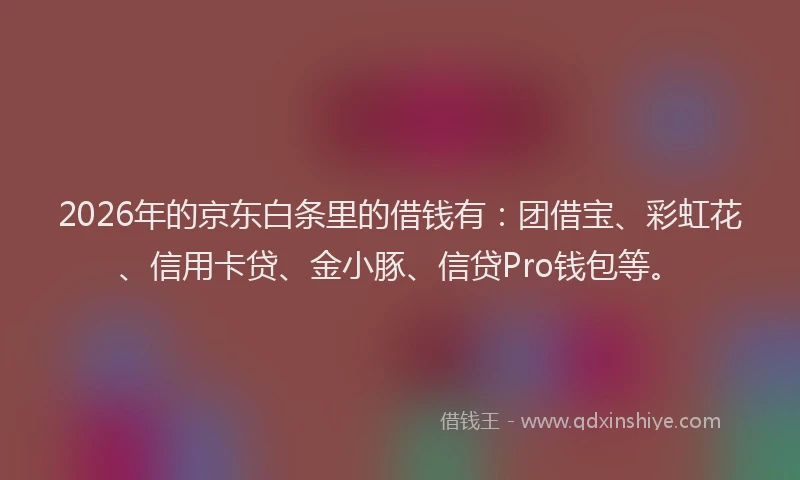 2026年的京东白条里的借钱有:团借宝、彩虹花、信用卡贷、金小豚、信贷Pro钱包等。
