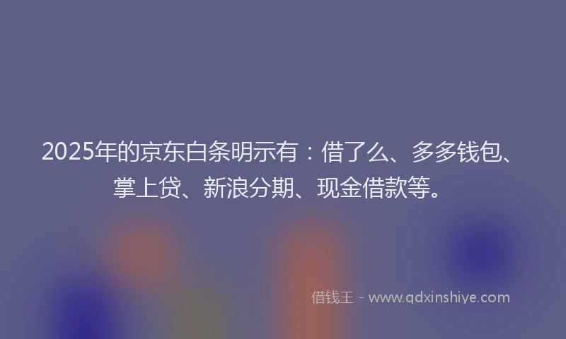 2025年的京东白条明示有：借了么、多多钱包、掌上贷、新浪分期、现金借款等。