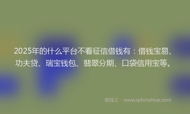 2025年的什么平台不看征信借钱有：借钱宝易、功夫贷、瑞宝钱包、翡翠分期、口袋信用宝等。