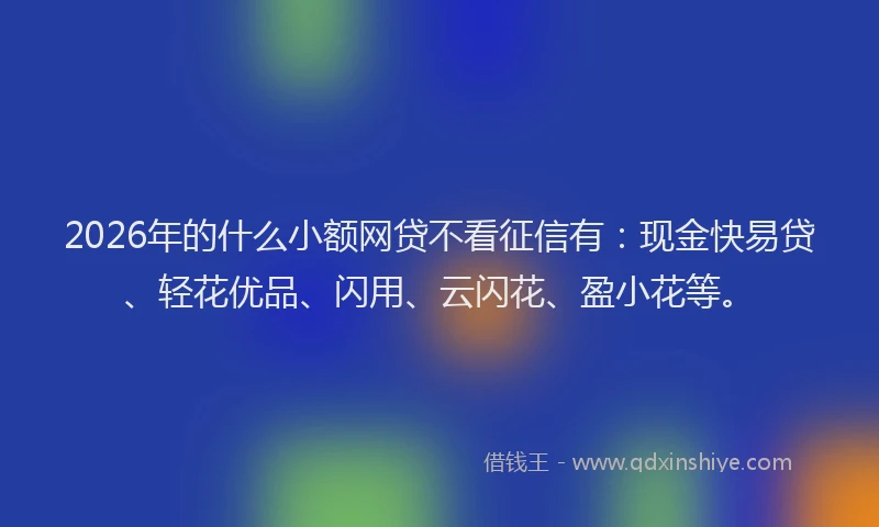 2026年的什么小额网贷不看征信有：现金快易贷、轻花优品、闪用、云闪花、盈小花等。