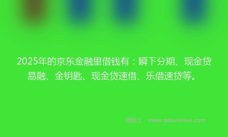 2025年的京东金融里借钱有：瞬下分期、现金贷易融、金钥匙、现金贷速借、乐借速贷等。