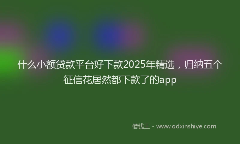 什么小额贷款平台好下款2025年精选，归纳五个征信花居然都下款了的app