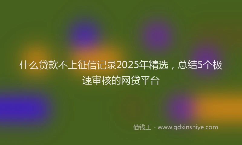 什么贷款不上征信记录2025年精选,总结5个极速审核的网贷平台