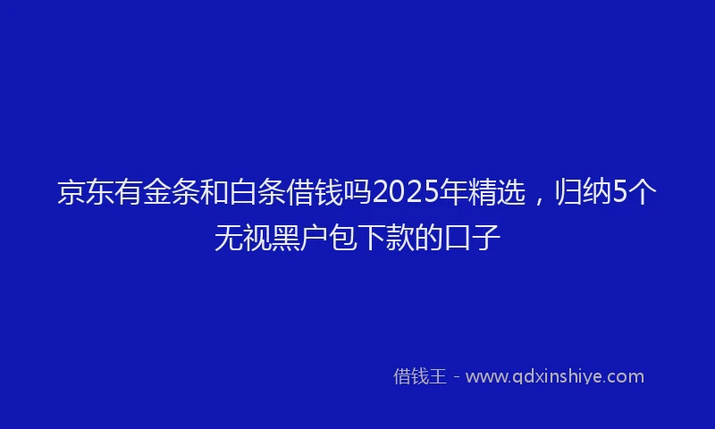 京东有金条和白条借钱吗2025年精选，归纳5个无视黑户包下款的口子