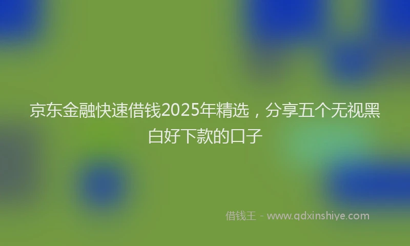 京东金融快速借钱2025年精选，分享五个无视黑白好下款的口子
