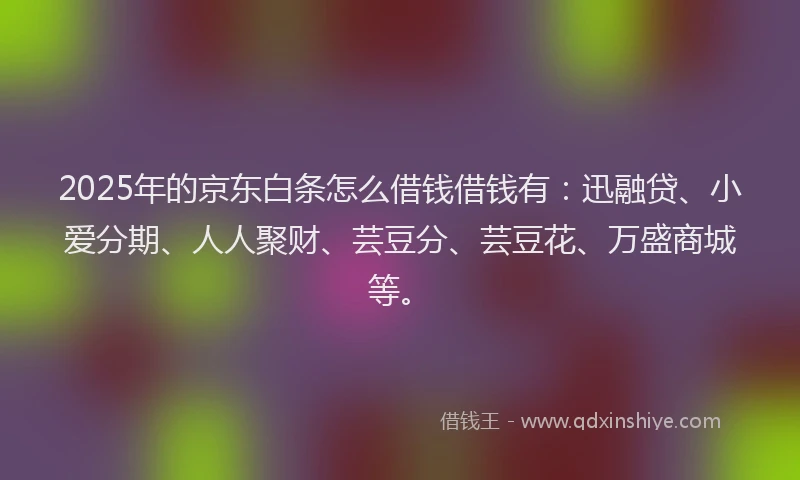 2025年的京东白条怎么借钱借钱有：迅融贷、小爱分期、人人聚财、芸豆分、芸豆花、万盛商城等。