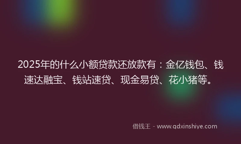 2025年的什么小额贷款还放款有：金亿钱包、钱速达融宝、钱站速贷、现金易贷、花小猪等。