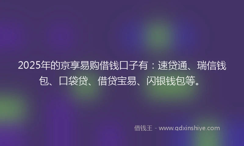 2025年的京享易购借钱口子有：速贷通、瑞信钱包、口袋贷、借贷宝易、闪银钱包等。