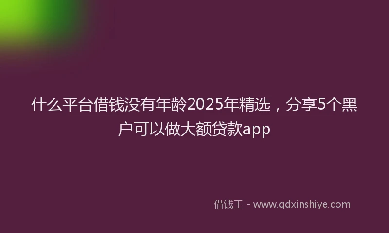 什么平台借钱没有年龄2025年精选，分享5个黑户可以做大额贷款app