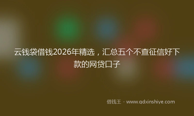 云钱袋借钱2026年精选，汇总五个不查征信好下款的网贷口子