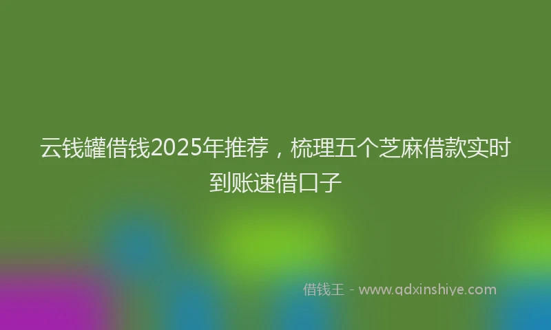 云钱罐借钱2025年推荐，梳理五个芝麻借款实时到账速借口子