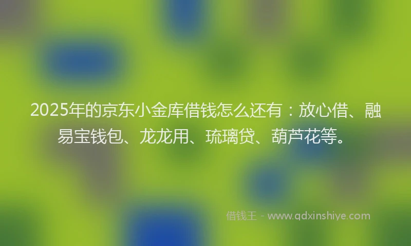 2025年的京东小金库借钱怎么还有:放心借、融易宝钱包、龙龙用、琉璃贷、葫芦花等。