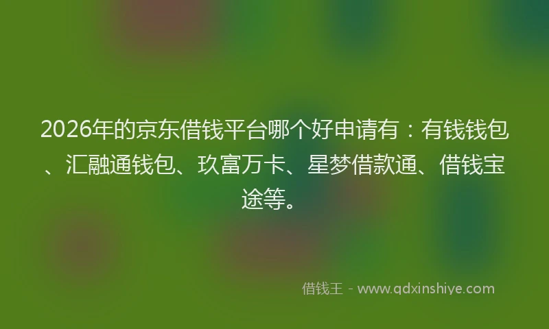 2026年的京东借钱平台哪个好申请有：有钱钱包、汇融通钱包、玖富万卡、星梦借款通、借钱宝途等。