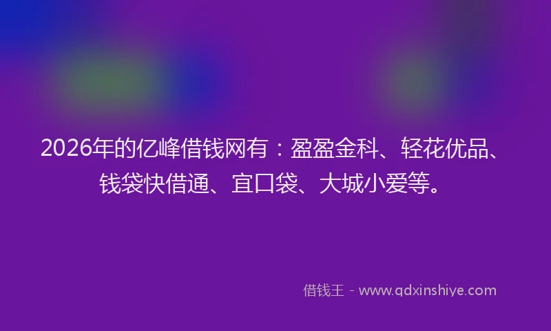 2026年的亿峰借钱网有：盈盈金科、轻花优品、钱袋快借通、宜口袋、大城小爱等。