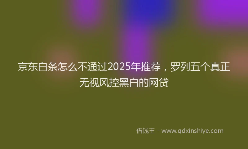 京东白条怎么不通过2025年推荐，罗列五个真正无视风控黑白的网贷