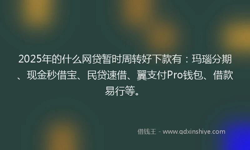 2025年的什么网贷暂时周转好下款有：玛瑙分期、现金秒借宝、民贷速借、翼支付Pro钱包、借款易行等。