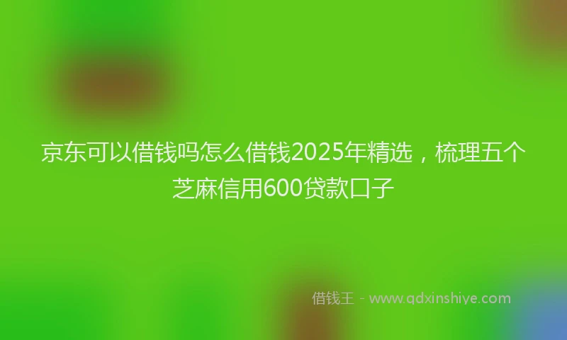 京东可以借钱吗怎么借钱2025年精选，梳理五个芝麻信用600贷款口子