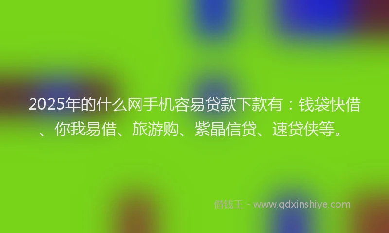 2025年的什么网手机容易贷款下款有：钱袋快借、你我易借、旅游购、紫晶信贷、速贷侠等。