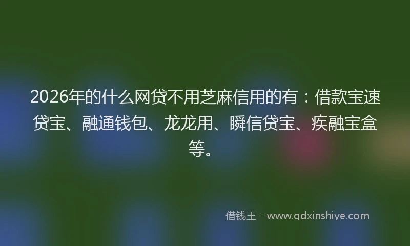 2026年的什么网贷不用芝麻信用的有：借款宝速贷宝、融通钱包、龙龙用、瞬信贷宝、疾融宝盒等。