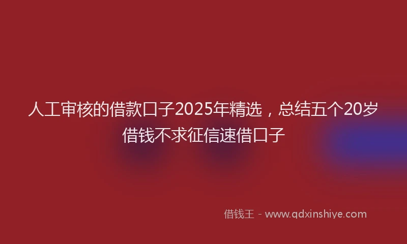 人工审核的借款口子2025年精选，总结五个20岁借钱不求征信速借口子