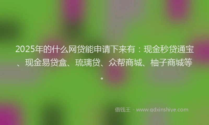 2025年的什么网贷能申请下来有：现金秒贷通宝、现金易贷盒、琉璃贷、众帮商城、柚子商城等。