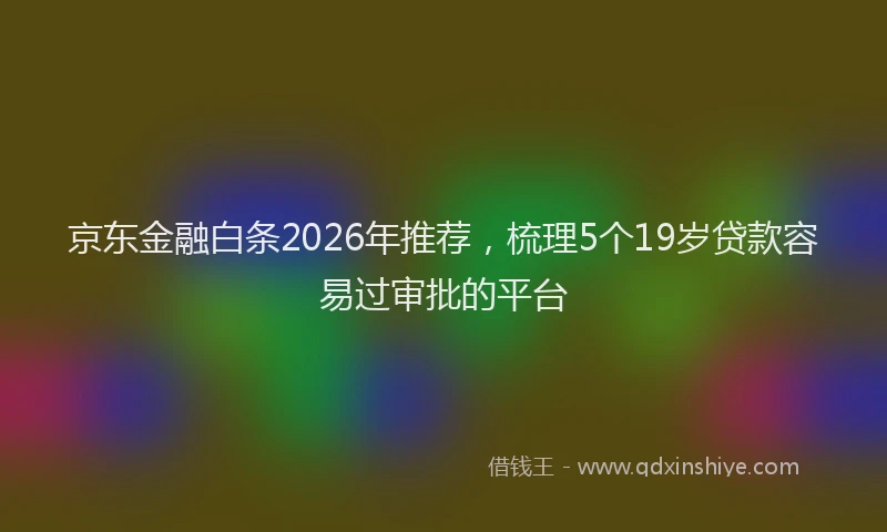 京东金融白条2026年推荐，梳理5个19岁贷款容易过审批的平台