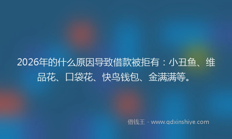 2026年的什么原因导致借款被拒有：小丑鱼、维品花、口袋花、快鸟钱包、金满满等。