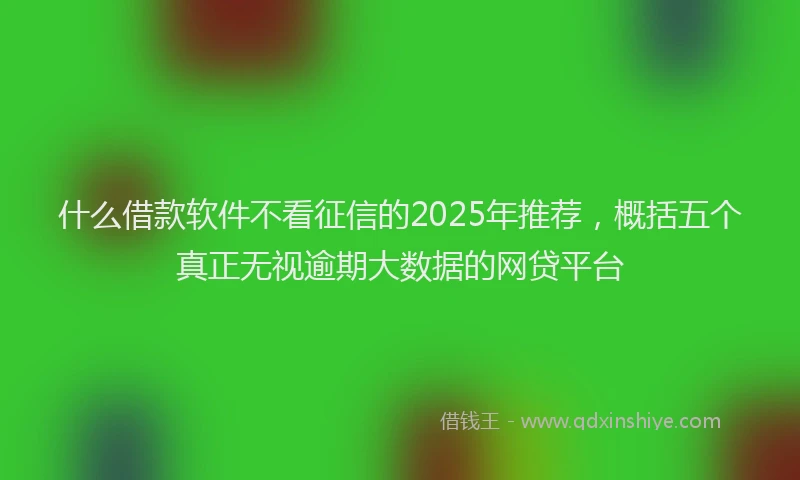 什么借款软件不看征信的2025年推荐，概括五个真正无视逾期大数据的网贷平台