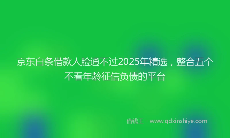京东白条借款人脸通不过2025年精选,整合五个不看年龄征信负债的平台
