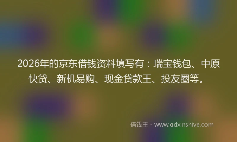 2026年的京东借钱资料填写有：瑞宝钱包、中原快贷、新机易购、现金贷款王、投友圈等。