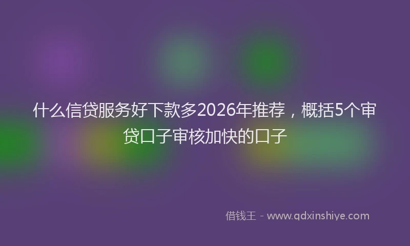 什么信贷服务好下款多2026年推荐，概括5个审贷口子审核加快的口子