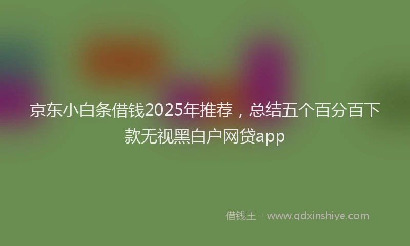 京东小白条借钱2025年推荐,总结五个百分百下款无视黑白户网贷app