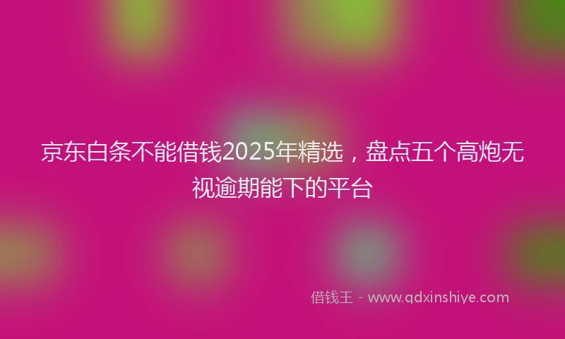 京东白条不能借钱2025年精选，盘点五个高炮无视逾期能下的平台