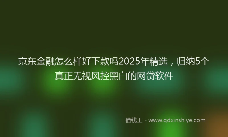 京东金融怎么样好下款吗2025年精选,归纳5个真正无视风控黑白的网贷软件