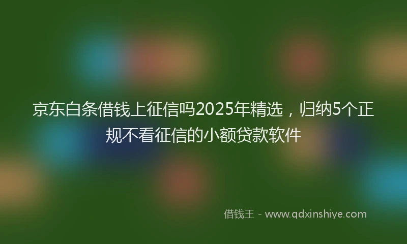 京东白条借钱上征信吗2025年精选,归纳5个正规不看征信的小额贷款软件