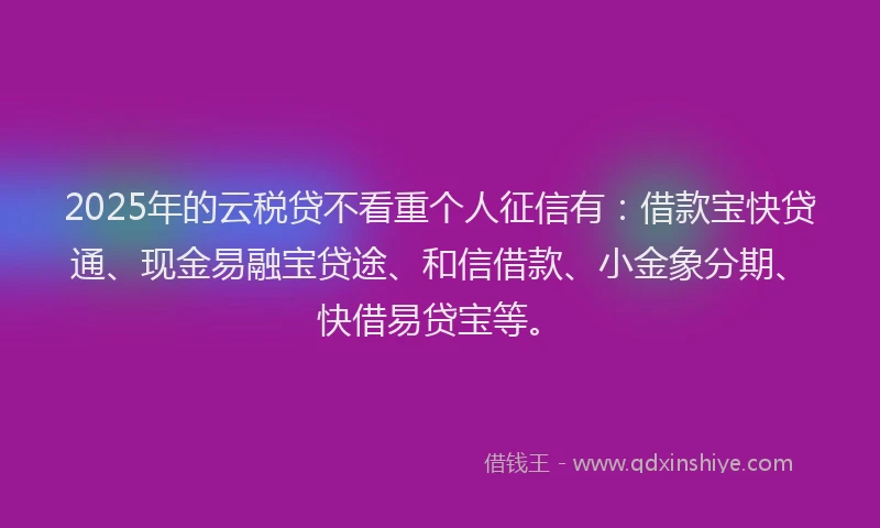 2025年的云税贷不看重个人征信有：借款宝快贷通、现金易融宝贷途、和信借款、小金象分期、快借易贷宝等。