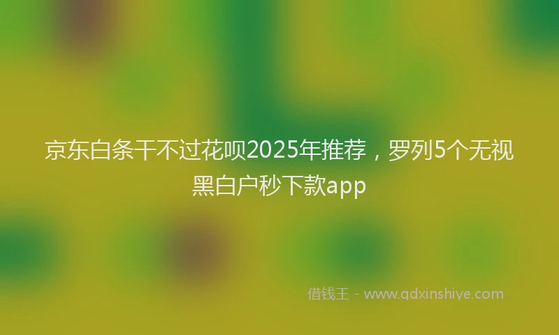 京东白条干不过花呗2025年推荐，罗列5个无视黑白户秒下款app