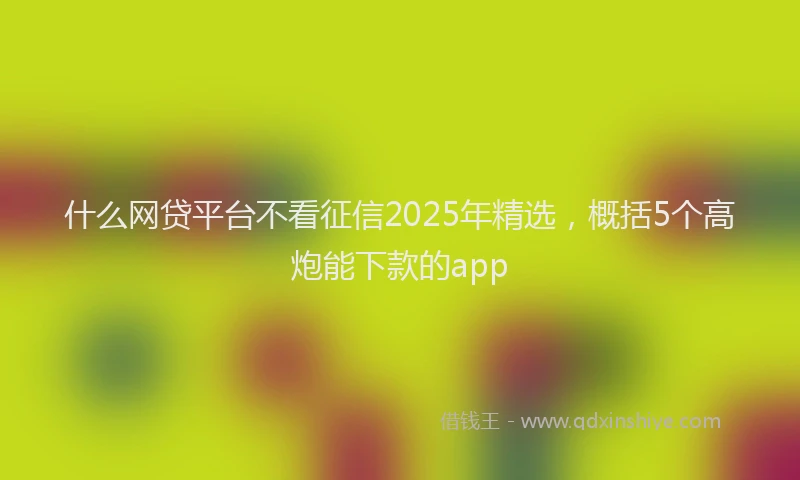 什么网贷平台不看征信2025年精选,概括5个高炮能下款的app