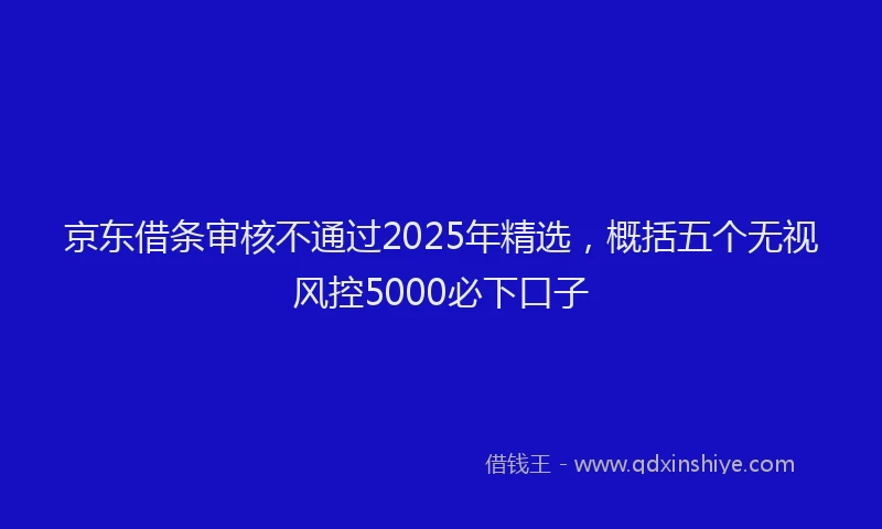 京东借条审核不通过2025年精选,概括五个无视风控5000必下口子